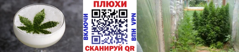 Cannafood конопля Купить где Звенигово