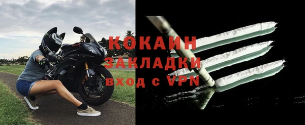 крисы Бронницы