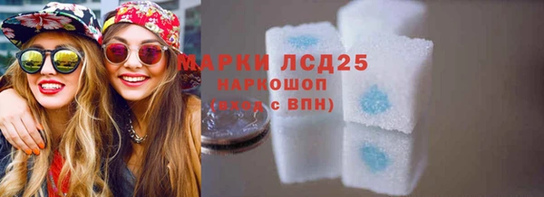 спайс Бородино