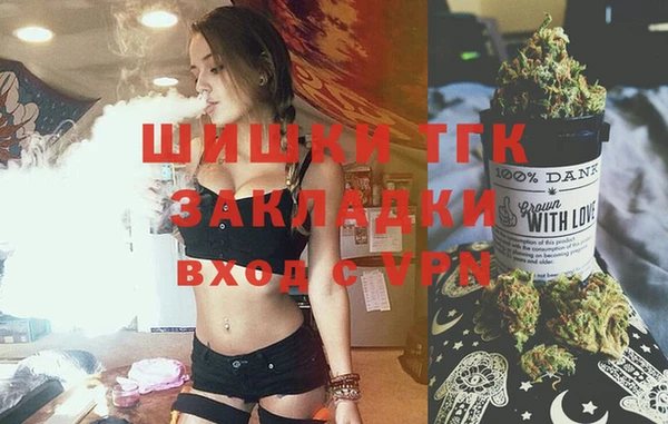 крисы Бронницы