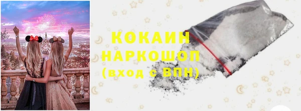 соль ск Богданович