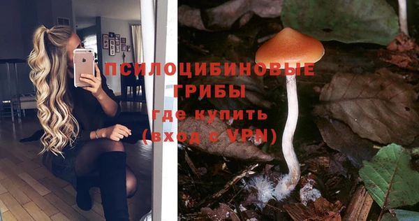 крисы Бронницы