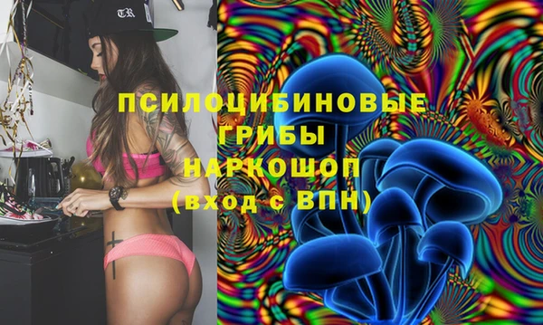 спайс Бородино