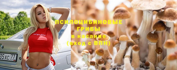 метадон Богородицк
