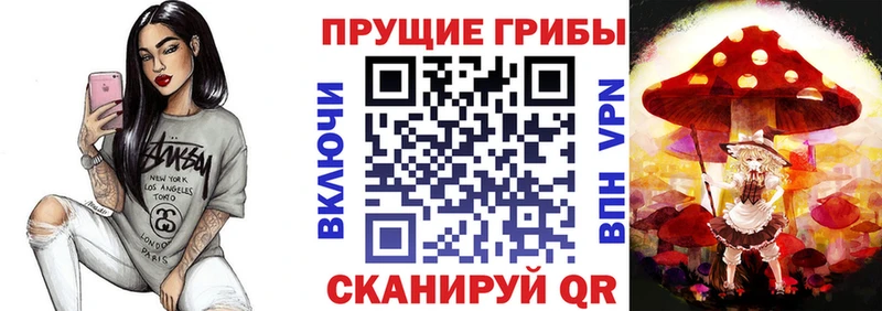 Псилоцибиновые грибы мицелий  Купить  Звенигово 